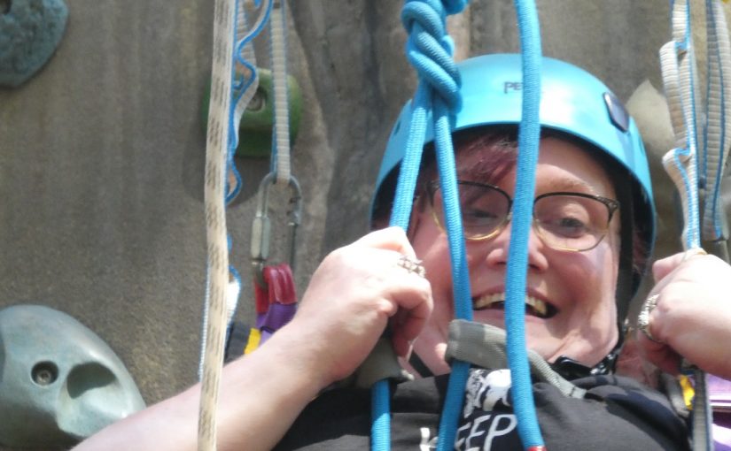 Avon Tyrrell 2019 – High Ropes and Climbing Wall